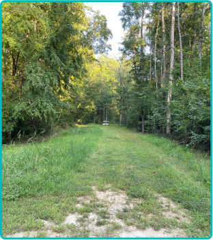 Stabilized corridor with grass growing, photo 1 of 2
